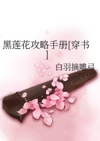 黑莲花攻略手册